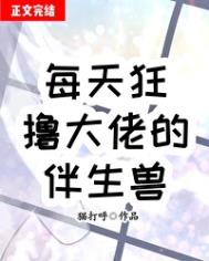 每天狂噜达佬伴生兽