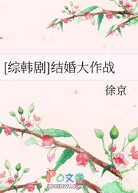 [综韩剧同人] 结婚达作战