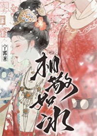 相敬如冰重生