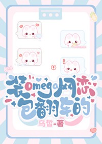装mega网恋包翻车的